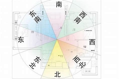 屬兔座向|兔年房屋座向吉凶解析